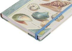 Книга для записей Shells — яркий и практичный подарок для любителя морской тематики. Это недатированный ежедневник формата А5, украшенный...