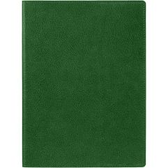 Ежедневник в суперобложке выполнен из материала Petrus, зеленый FF.Блок 224:Кол-во страниц — 256;Бумага — тонированная, плотность 80 г/м²;Форзац и...
