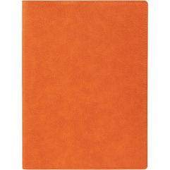 Ежедневник в суперобложке выполнен из материала Petrus, оранжевый ОО.Блок 224:Кол-во страниц — 256;Бумага — тонированная, плотность 80 г/м²;Форзац и...