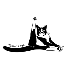 Добро пожаловать в мир наших чудесных друзей — котов и собак из фонда TEDDY FOOD! Они не просто питомцы, они искусные йоги, непредсказуемые озорники и...