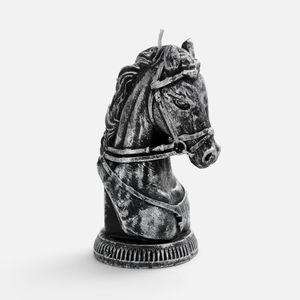 Изысканная серебристая свеча с эффектом естественной патины создаст атмосферу благородства и утонченности. Словно маленькая музейная скульптура, она...