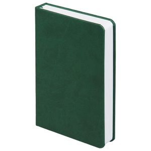 Ежедневник с твердой обложкой, выполнен из материала Brand, зеленый FF, дополнен ляссе в цвет обложки.<br/>Блок 209:Кол-во страниц — 336;Бумага —...