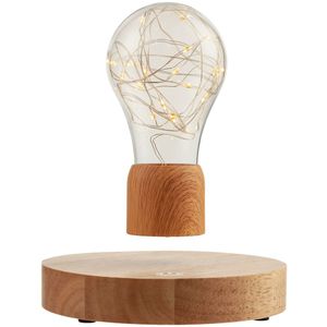 Левитирующая лампа FireFly Lights сочетает в себе элегантный дизайн и инновационные разработки современных технологов. Благодаря действию...