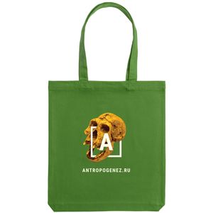 Холщовая сумка «Антропогенез», зелёная