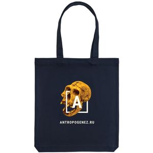Холщовая сумка «Антропогенез», тёмно-синяя