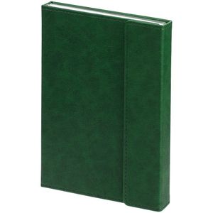 Ежедневник с клапаном на магните, выполнен из материала Petrus, зеленый. Блок 210:Кол-во страниц — 336;Бумага — белая, плотность 70 г/м²;Форзац и...