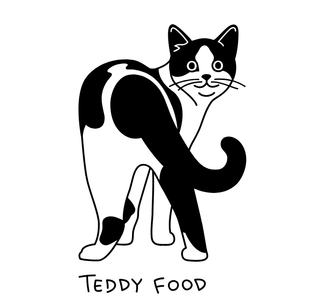 Котик