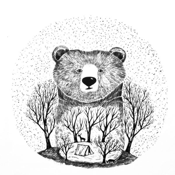 Bear