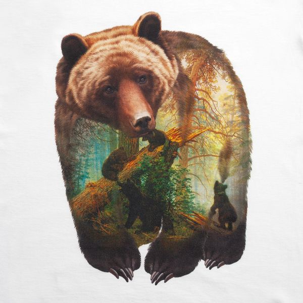 Bruin
