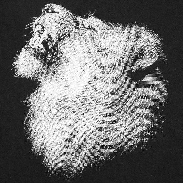 Like a Lion