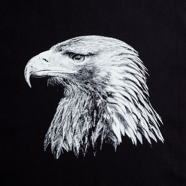 Like an Eagle