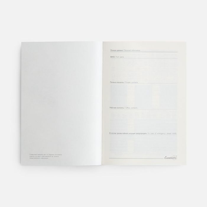 Ежедневник-органайзер Clean Slate, недатированный, серый