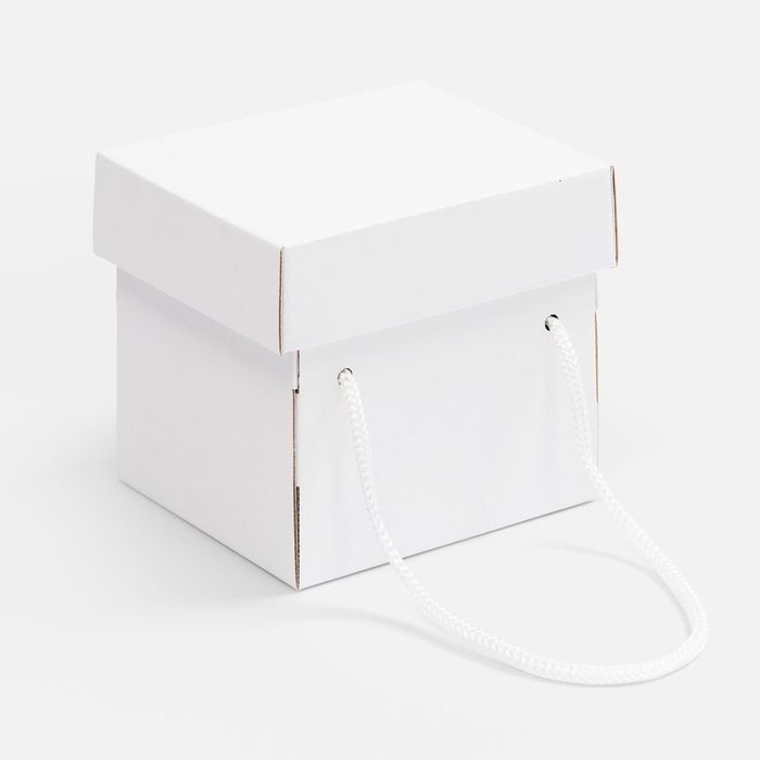 Коробка Kitbag, ver.2, белая