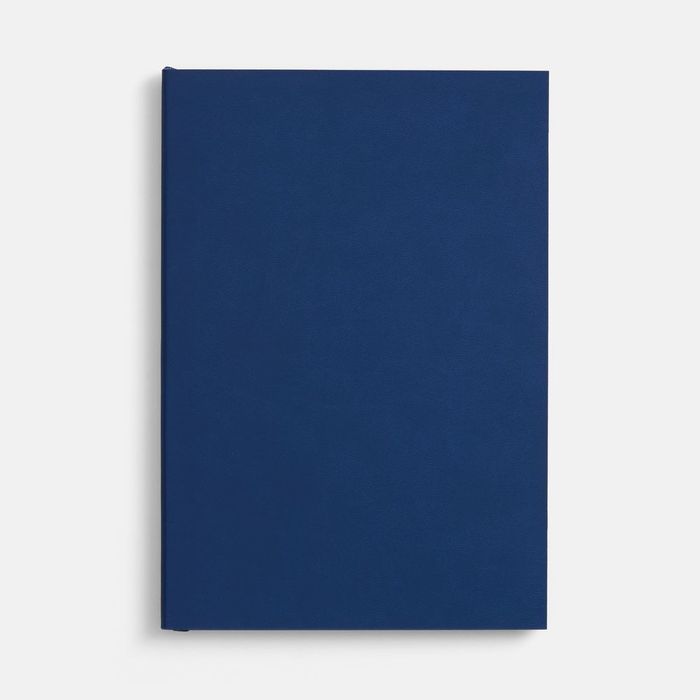 Ежедневник Flat, недатированный, синий, ver.2