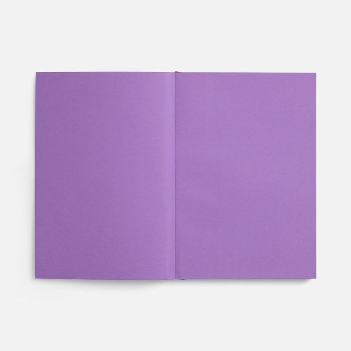 Ежедневник Flat, недатированный, фиолетовый, ver.2