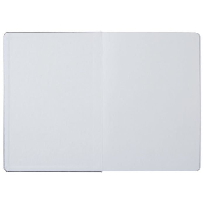 Ежедневник «Исторический», полудатированный, серебро