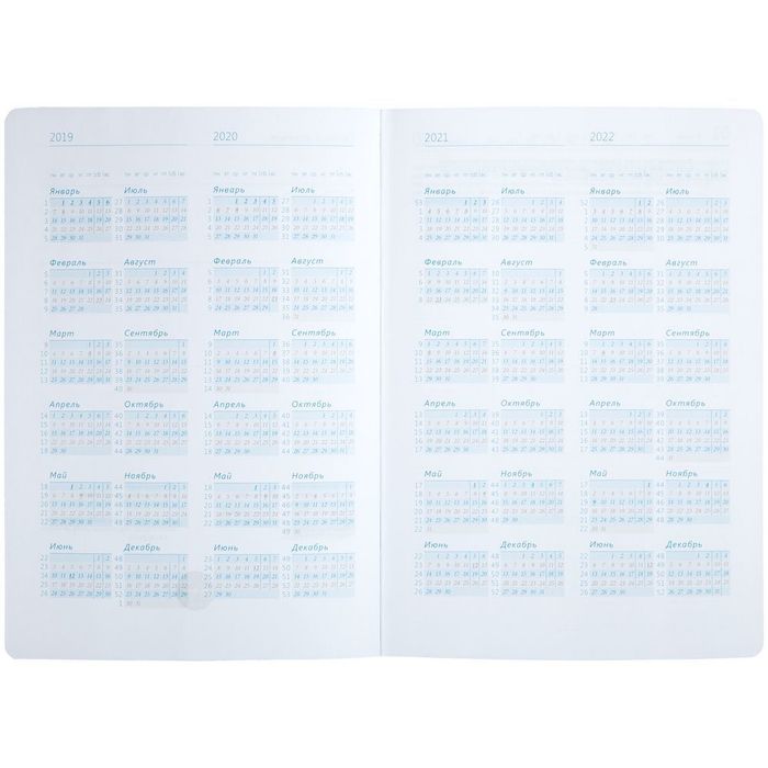 Ежедневник «Исторический», полудатированный, серебро