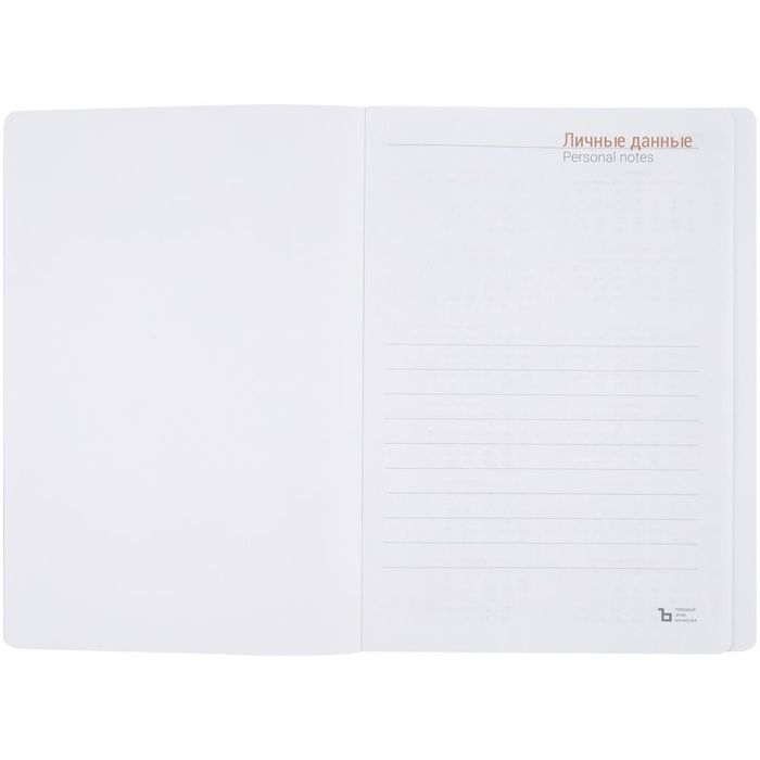 Ежедневник Basis, датированный, красный