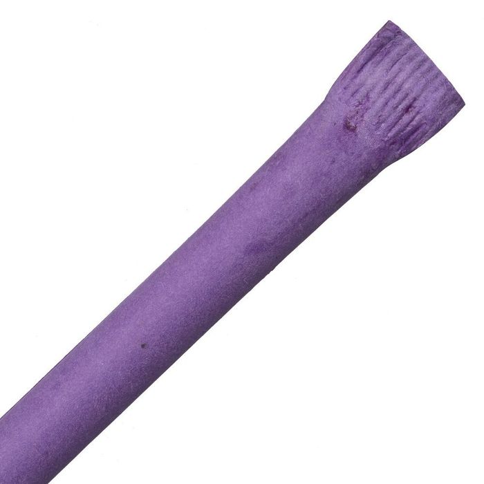 Ручка шариковая Carton Color, фиолетовая