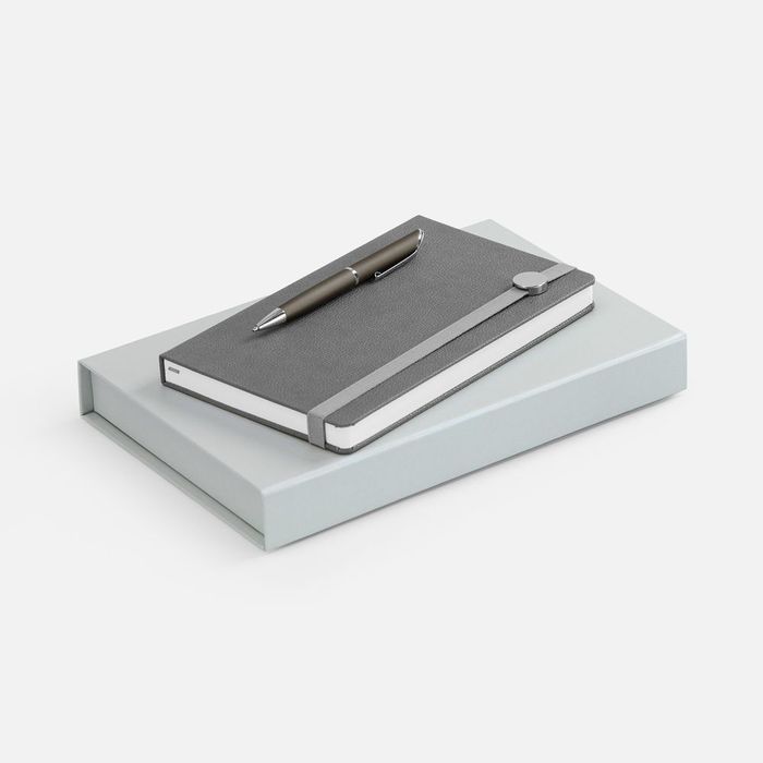 Набор Coach, серый