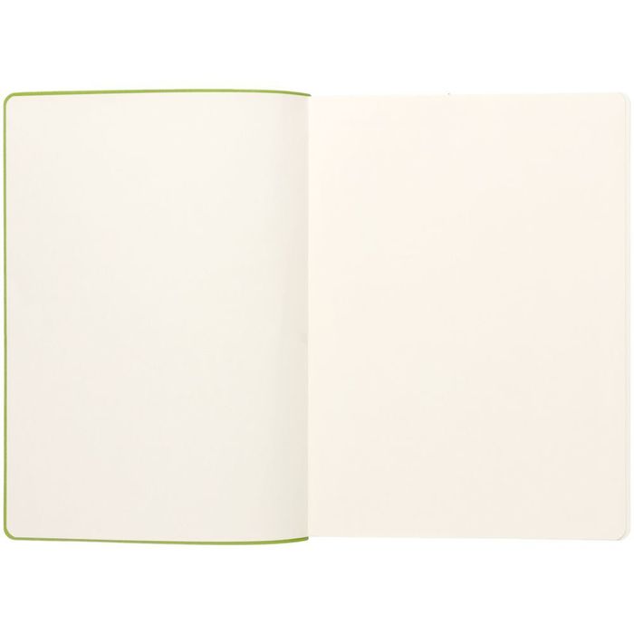 Ежедневник Flexpen, недатированный, серебристо-зеленый