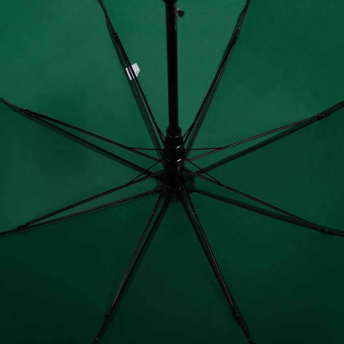 Зонт-трость Standard, зеленый