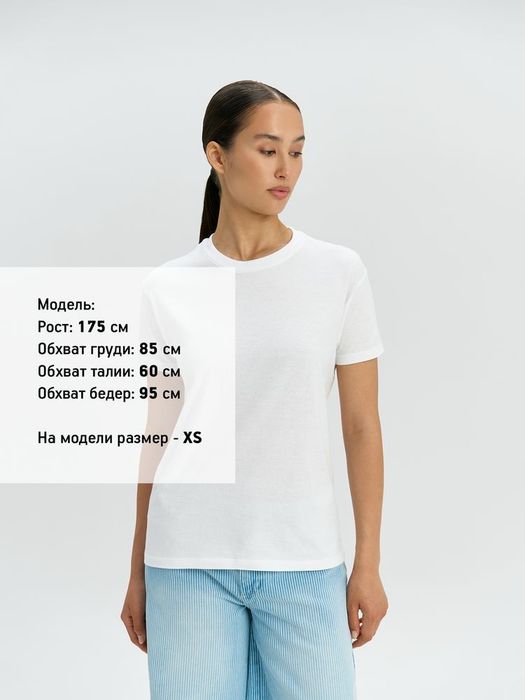 Футболка Regent 150, темно-коричневая (шоколад)