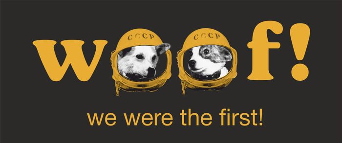 Свитшот женский «Woof» , чёрный