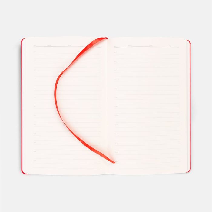 Ежедневник Magnet Shall с ручкой, красный