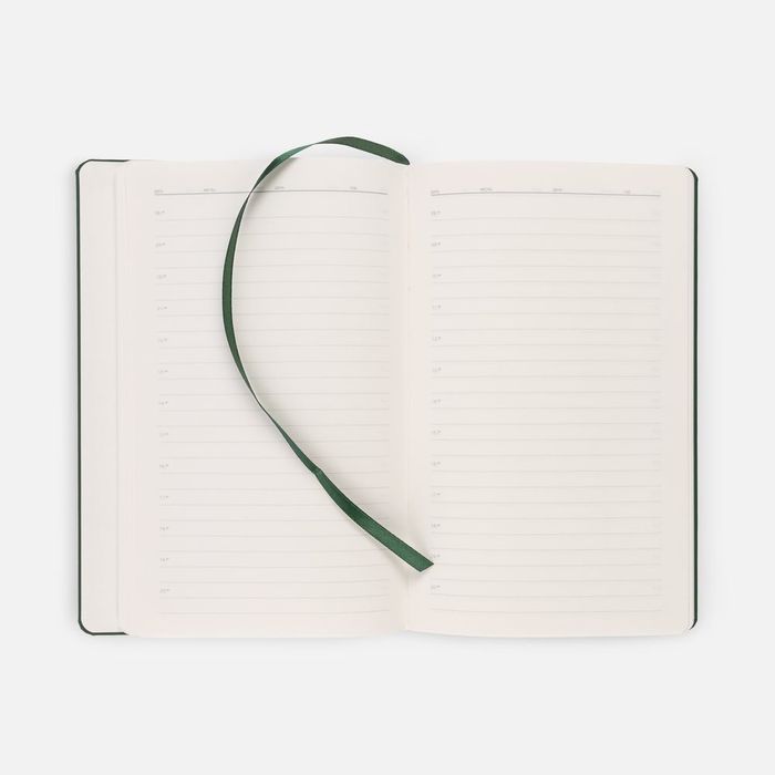 Ежедневник Magnet Shall с ручкой, зеленый