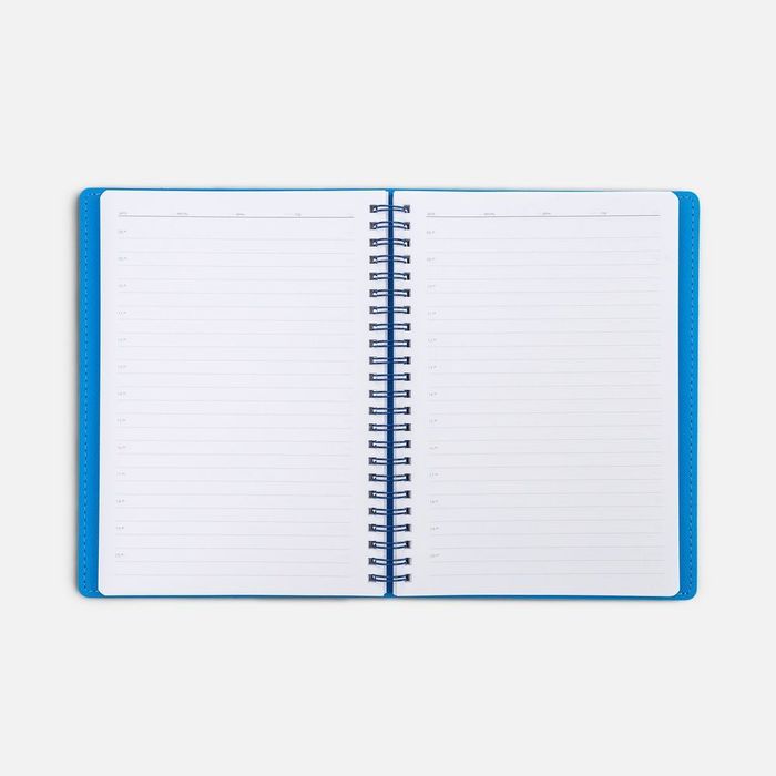 Ежедневник Spring Shall, недатированный, синий