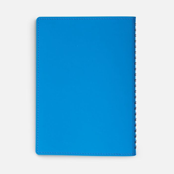 Ежедневник Spring Shall, недатированный, голубой