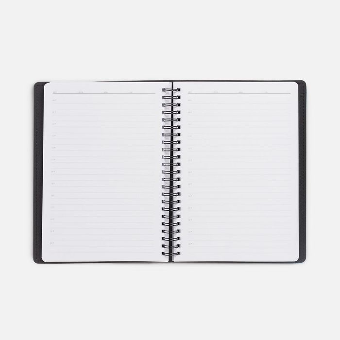 Ежедневник Spring Shall, недатированный, голубой