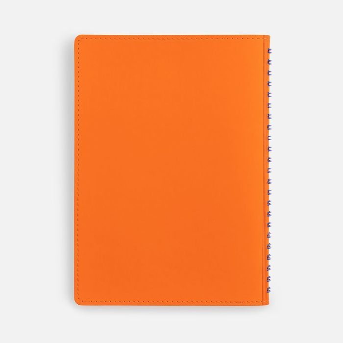 Ежедневник Spring Shall, недатированный, оранжевый