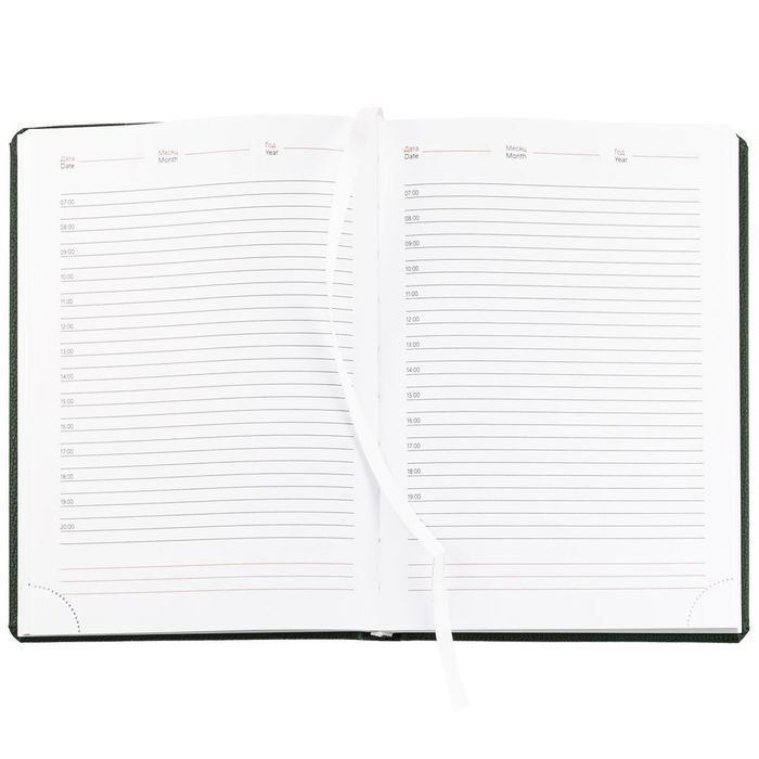 Ежедневник Sagrin, недатированный, зеленый