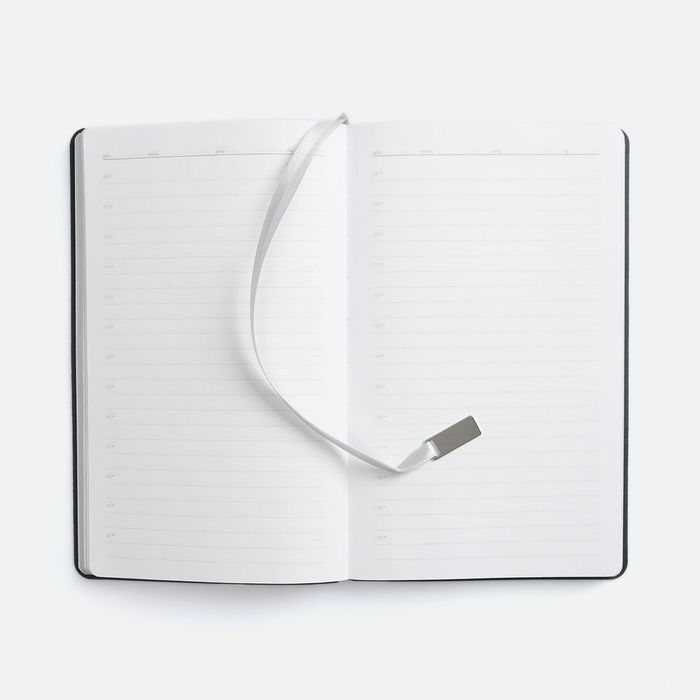 Ежедневник Petrus, недатированный, серый