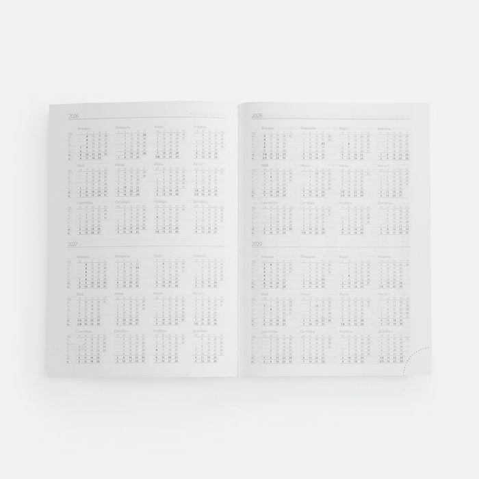 Ежедневник Favor Metal, недатированный, ярко-зеленый