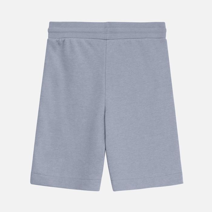 Шорты J3, серые