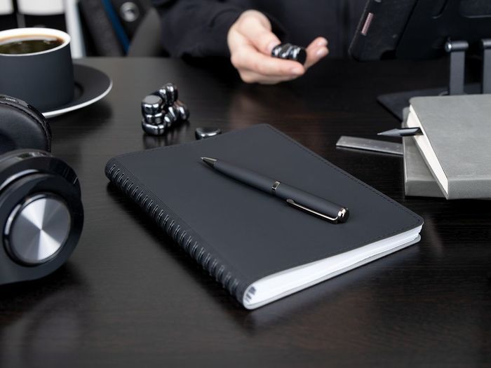 Ручка шариковая Inkish Gunmetal, серая