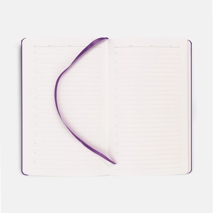 Ежедневник Magnet Shall, недатированный, фиолетовый