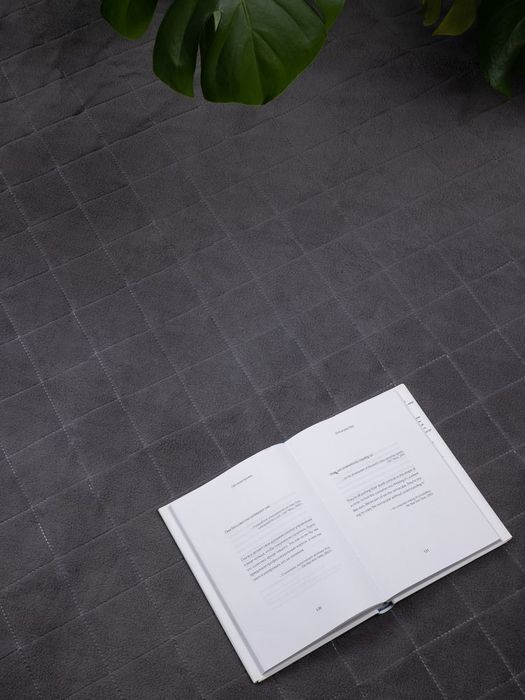 Плед для пикника Soft & Dry 2, серый